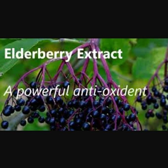 

Elderberry Extract Powder 25 gram