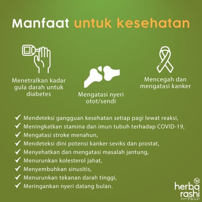 

HERBARASHI Herbal Madu Hitam Pahit Bawang Putih 400ml