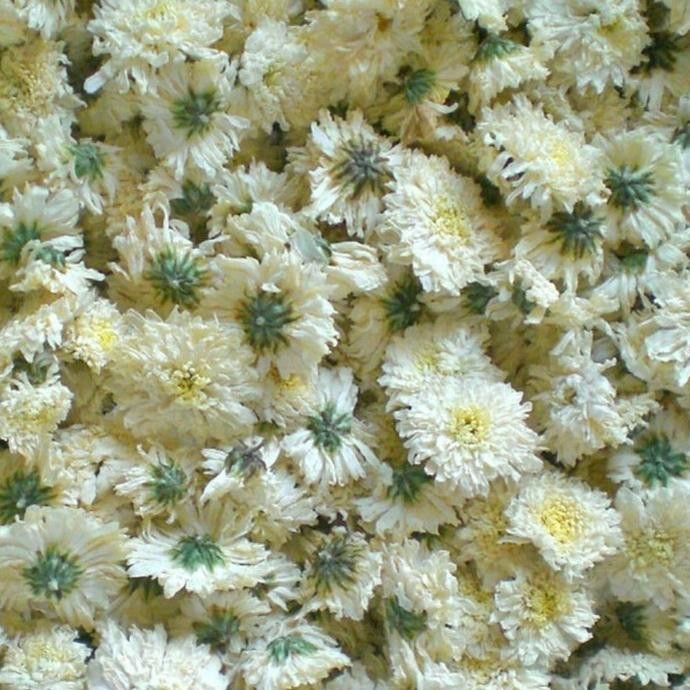 

White Chrysanthemum Tea 20g/Premium Tea/Flower Tea