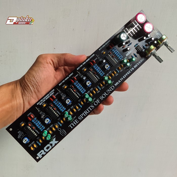 kit echo reverb 2 potensio