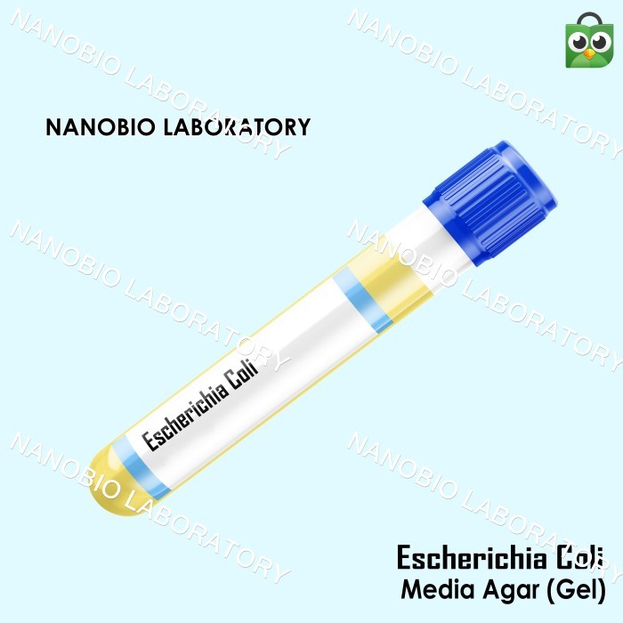 Isolat Mikroba E coli / Escherichia coli Media Gel