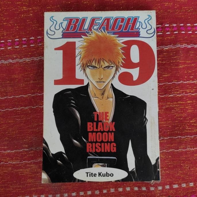 hanya disini] Komik Bleach 19
