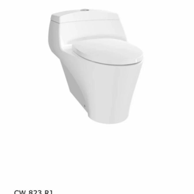 Closet Duduk Toto Cw 823 Rj+Tutup Eco Wasser Tcw 03 Sl Original