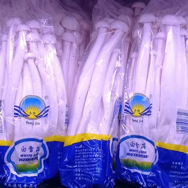 

;&;&;&;&] jamur salju putih