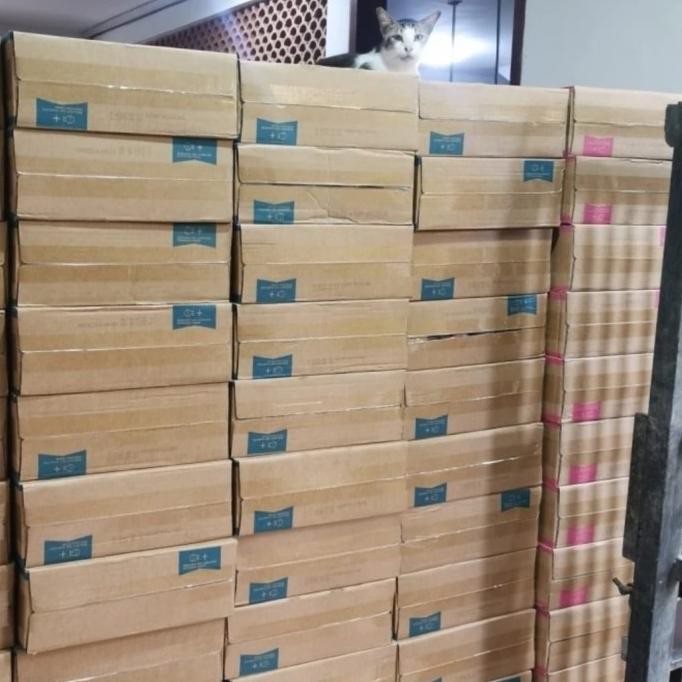 Makanan Kucing Life Cat Kaleng 1 Dus Life Cat Dus 1 Box Life Cat Dus Harga Diskon 