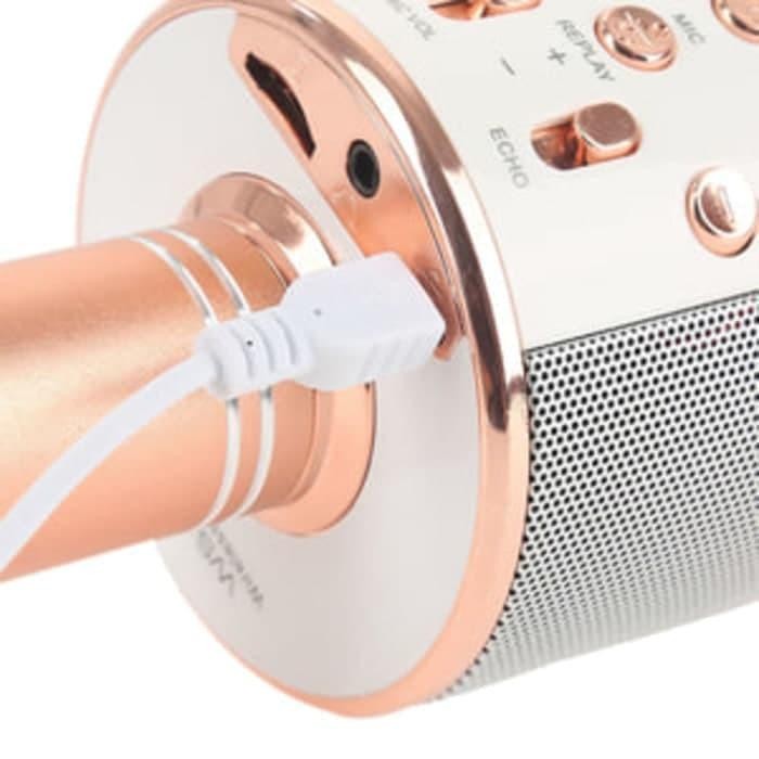 Mic Bluetooth Ws-858 High Quality / Mik Ktv Karaoke Ws858 Suara Bagus