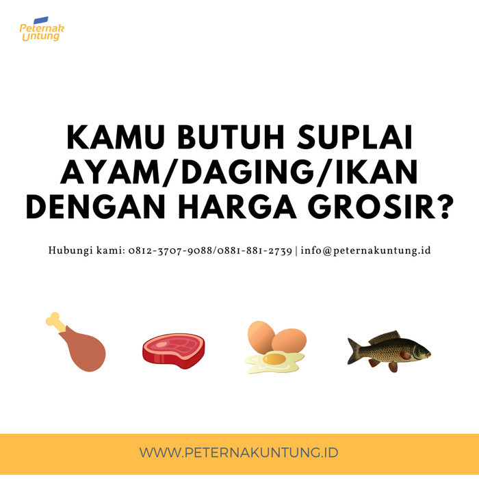 

Ayam Karkas 1.2 - 1.3 Kg (Frozen)