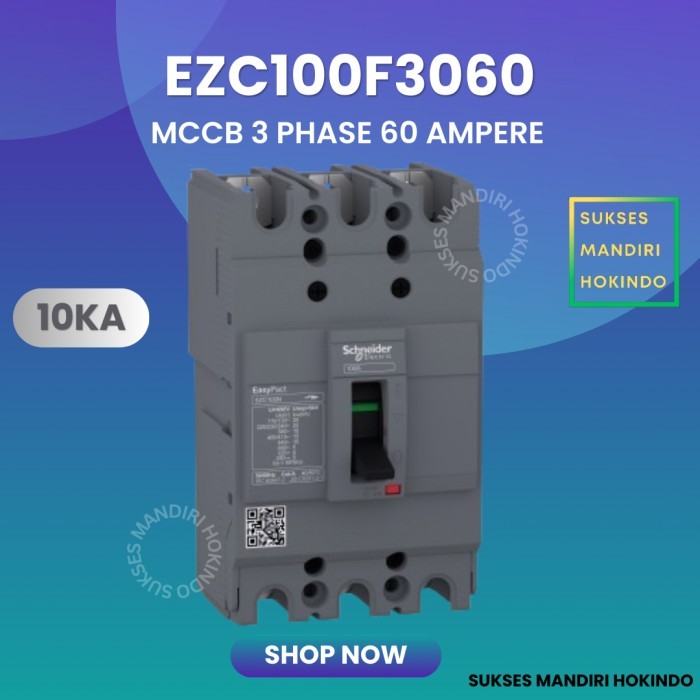 Terlaris Mccb 3 Phase 60 Ampere 3P 60A Original Sni Schneider Easypact Ezc100F