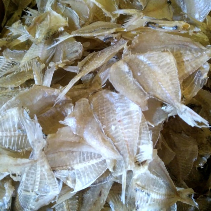 

Ikan Asin Kapasan Tawar 1 Kg