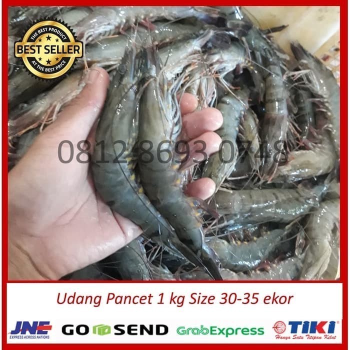 

Udang Pancet 500 Gr Size 30 Ekor / Windu/ Jumbo Besar Segar Fresh