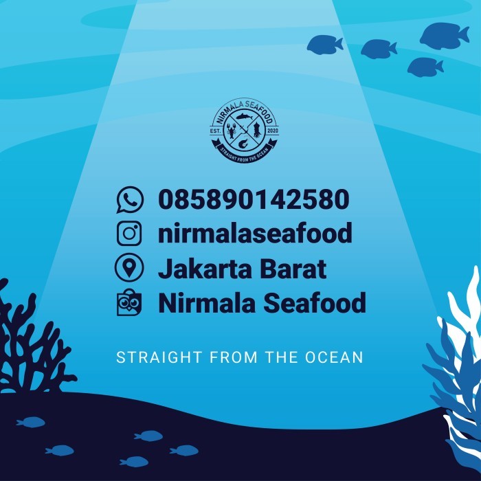 

Udang Vaname Kupas Fresh Seafood Uk 50-60