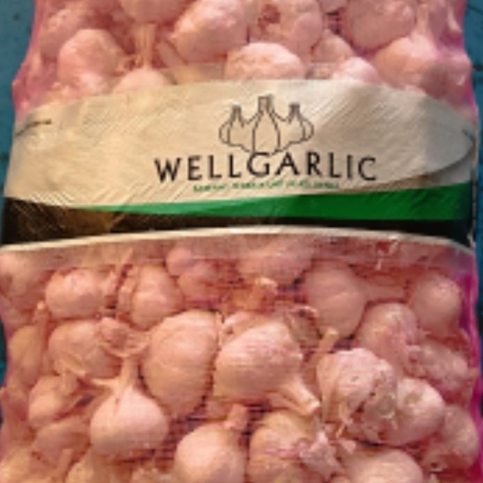 

Bawang Putih Kating 20Kg Terbaru