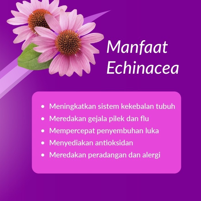 NEW BEXCE ImunO 60 ml Herba Echinacea cegah FLU pada anak