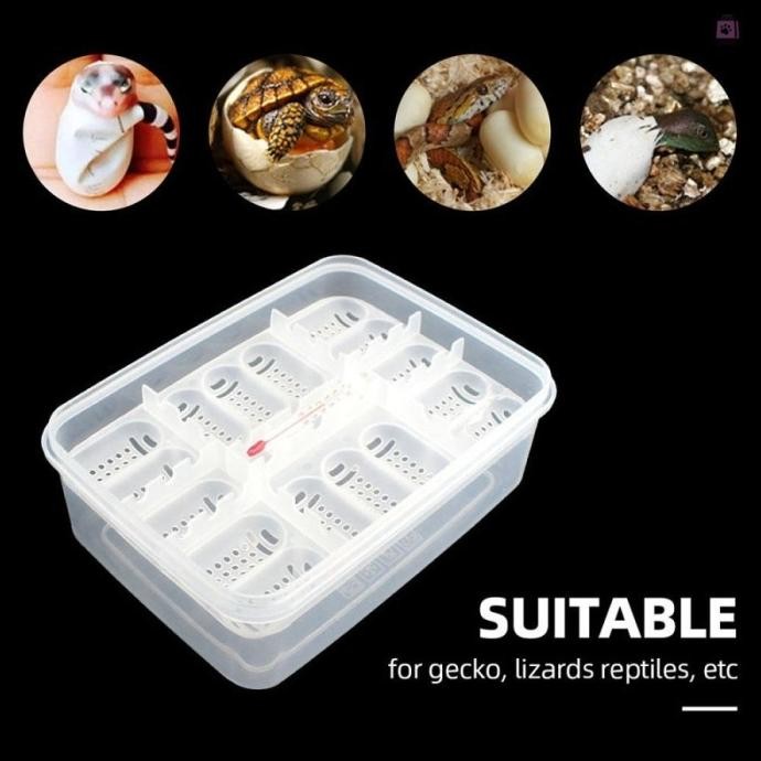 16 Reptile Egg Tray Tempat Telur BD Gecko Kadal Incubator Box + Thermo