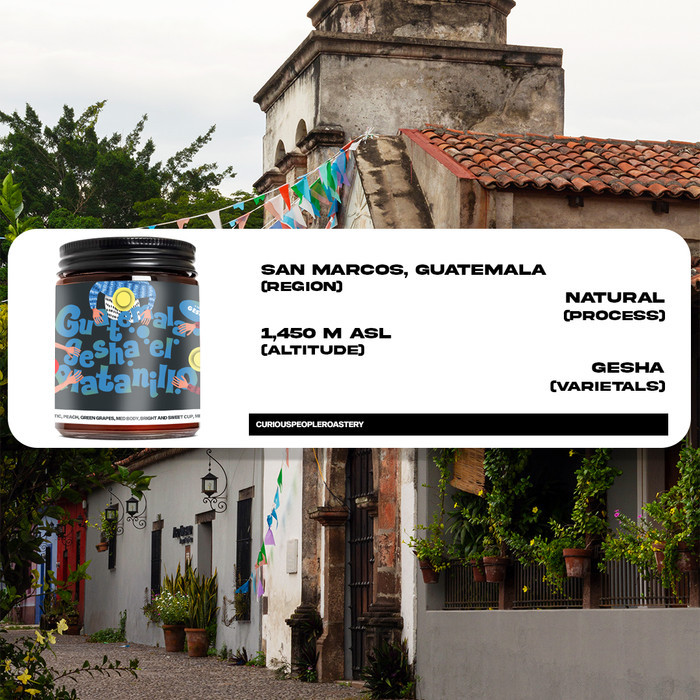 

Biji Kopi Manual Brew Arabika - Guatemala Gesha El Platanillo - 100 Gr
