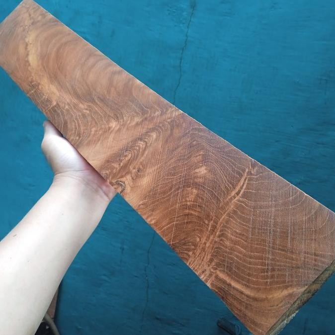 KAYU BURL JATI AKAR 56X9.7X3CM 1011T