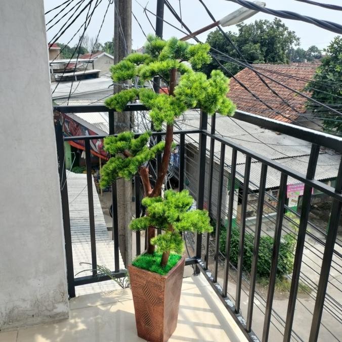 POHON BONSAI CEMARA UDANG/BONSAI CEMARA UDANG ARTIFICIAL/ POHON BONSAI TINGGI 1,5 M 1111T