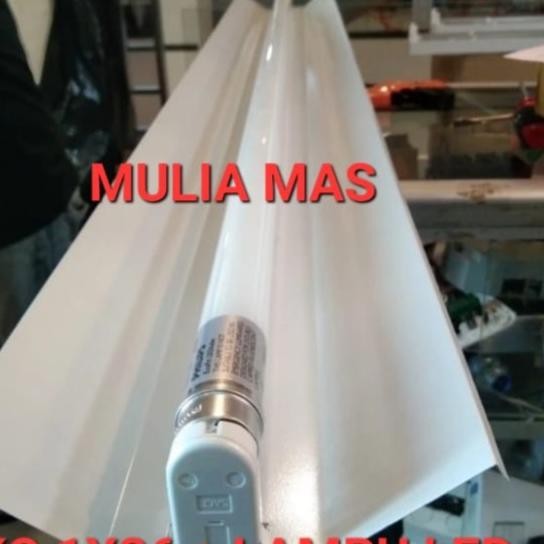 Kap Lampu Tko Set 1X36/1X16Watt Housing+ Neon Tl Philips Led 16Watt