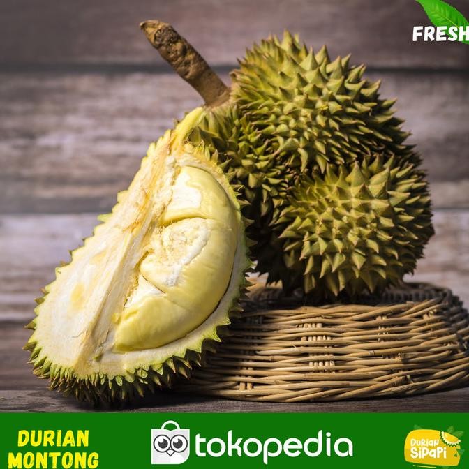 Durian Montong Bali-Palu Premium Fresh Utuh Pilihan - Durian Sipapi Original Dan Terpercaya