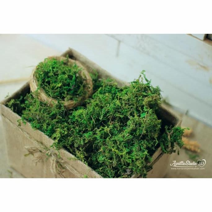 TERMURAH - lumut HIJAU PREMIUM artificial 1 kg lumut kering rumput halus sintetis