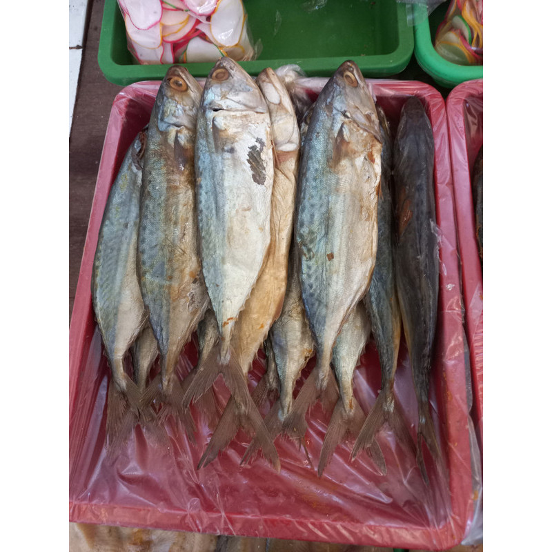 

Ikan asin peda putih 100 gr