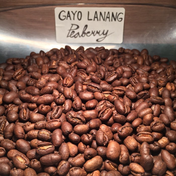 

Kopi Arabika Gayo Lanang Peaberry 1 Kilogram Sutoyo Coffee