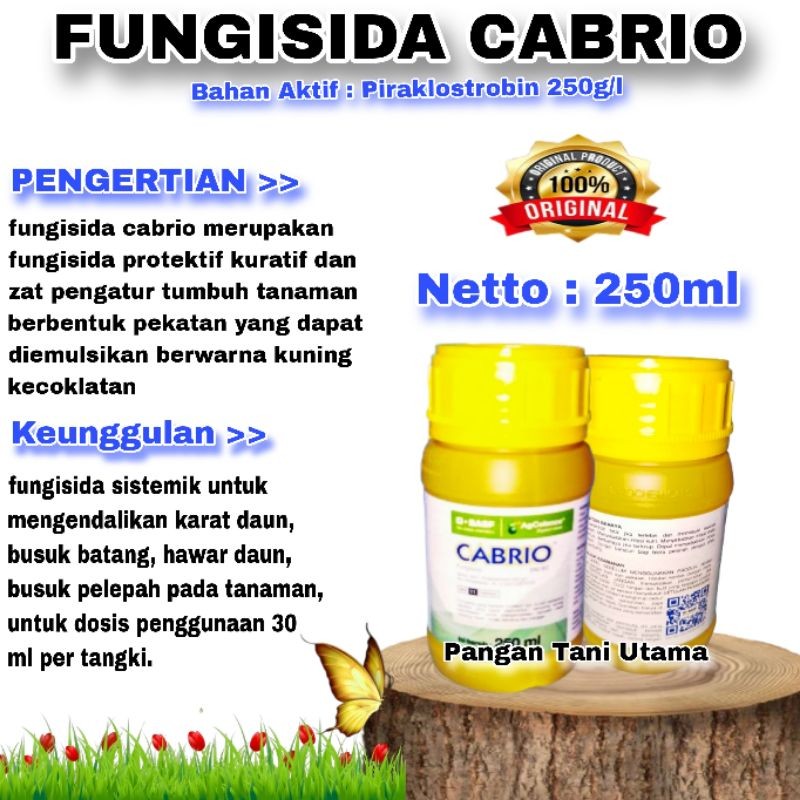FUNGISIDA CABRIO 250ML