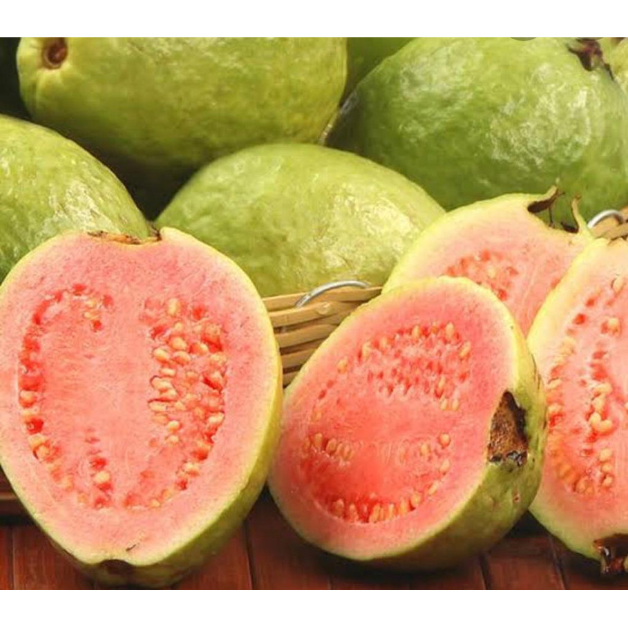 

Jambu biji1 kg