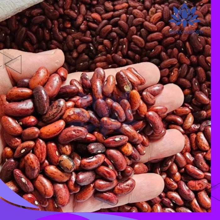 

KACANG MERAH ORGANIK 100GR KUALITAS BAGUS TERBAIK