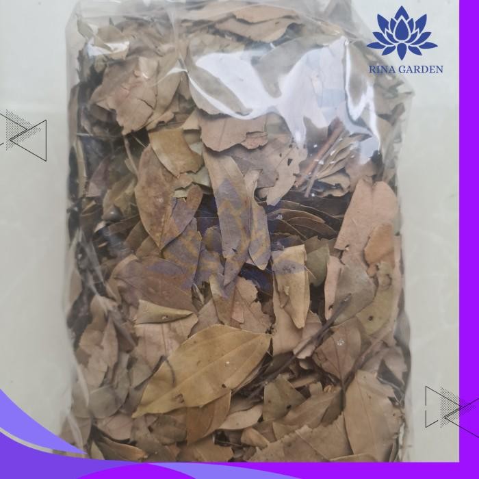 

DAUN KAYU MANIS KERING 100GR KUALITAS TERBAIK