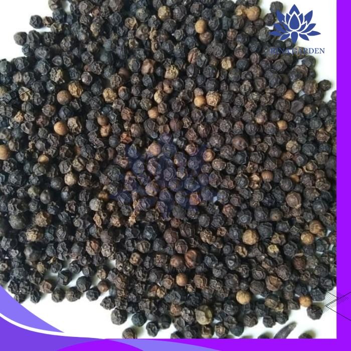 

LADA HITAM 100GR - BIJI LADA HITAM - MERICA HITAM KUALITAS BAGUS DIJAMIN GRATIS ONGKIR