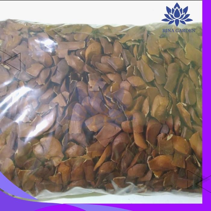

BIJI BUAH MAHONI KERING 1KG KUALITAS TERBAIK