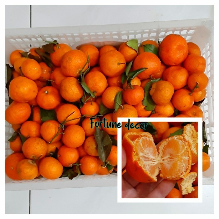 Julie - Jeruk Santang 1 Keranjang Manis Tanpa Biji, Jeruk Shantang Impor