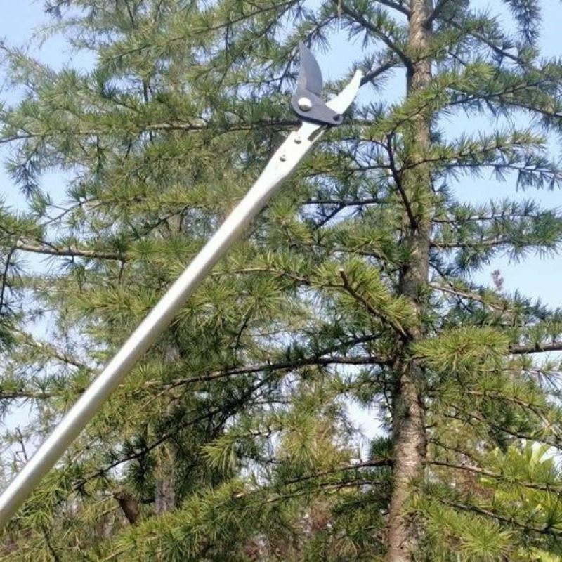 

Gunting pangkas ketinggian tinggi stainless steel panjang tiang 2 meter 20240510 |9KgSKuFm|