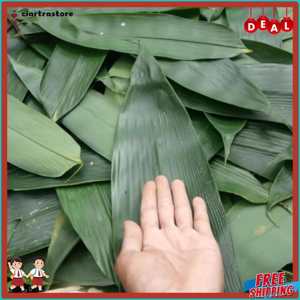 

Promo : 100 Lembar Daun Bambu Big Size 10-15Cm Fresh Bungkus Bacang / Bakcang (Lagi Diskon)
