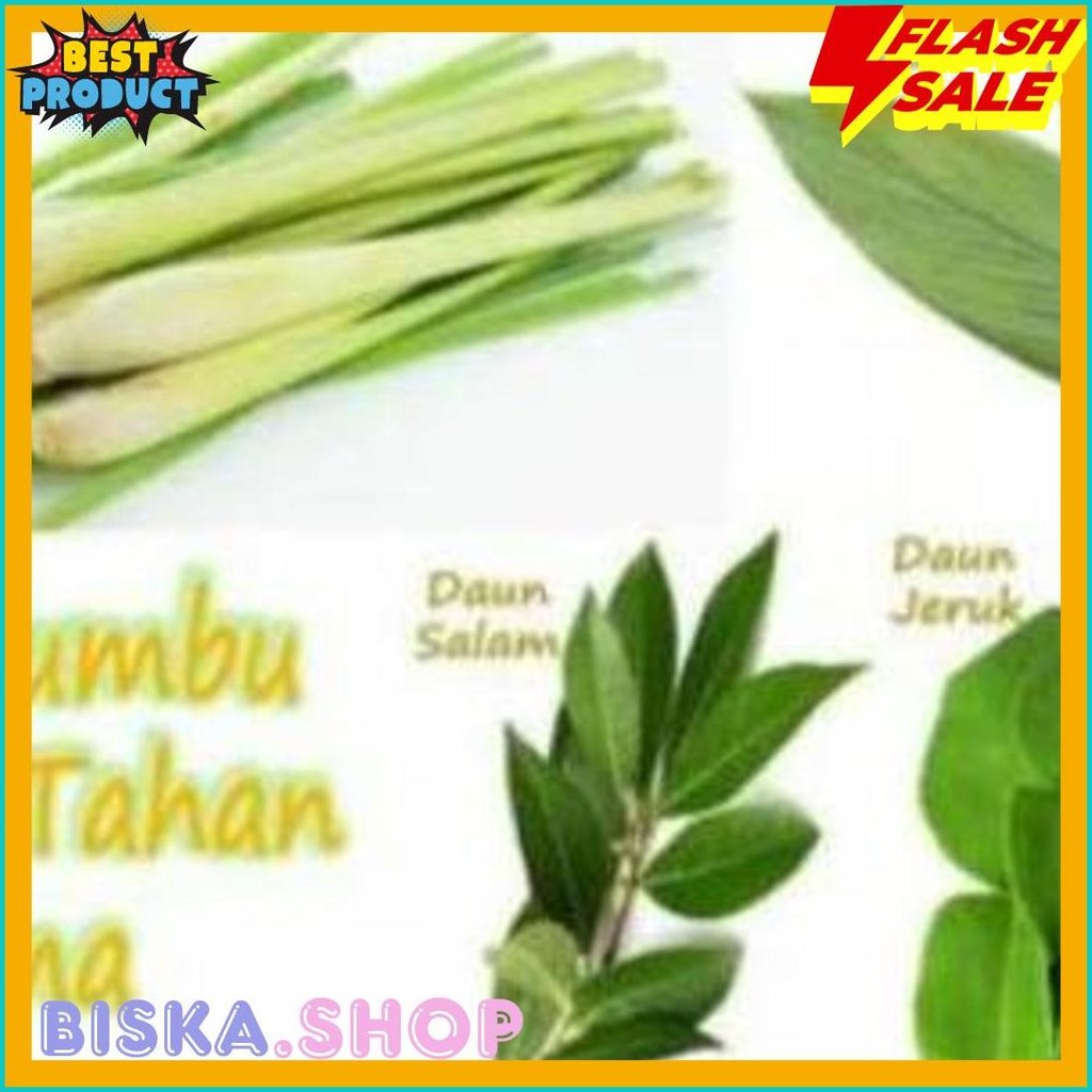 

Aneka Daun Bawang Daun Jeruk Kemangi Serai Seledri Daun Kunyit Daun Pisang Salam Pandan Daun Suji (Lagi Viral)