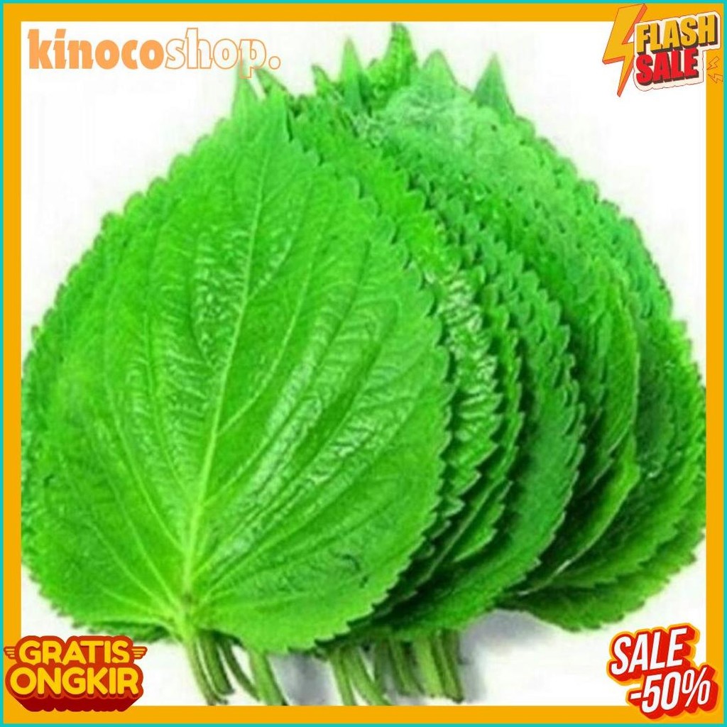 

Perila Leaf Fresh - Daun Wijen Muda Untuk Bungkusan Bbq 100Gr (Lagi Rame)