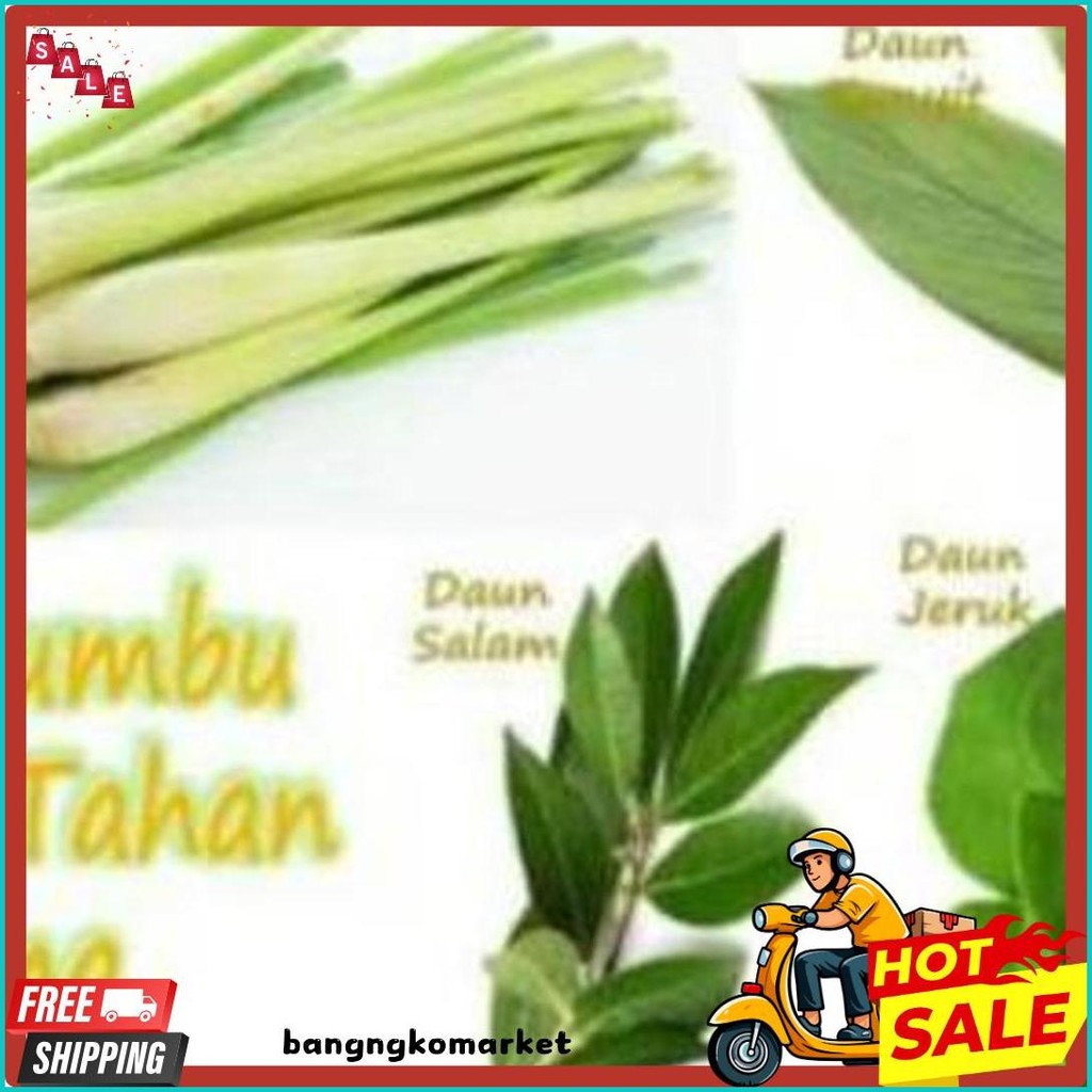 

Aneka Daun Bawang Daun Jeruk Kemangi Serai Seledri Daun Kunyit Daun Pisang Salam Pandan Daun Suji (Lagi Viral)