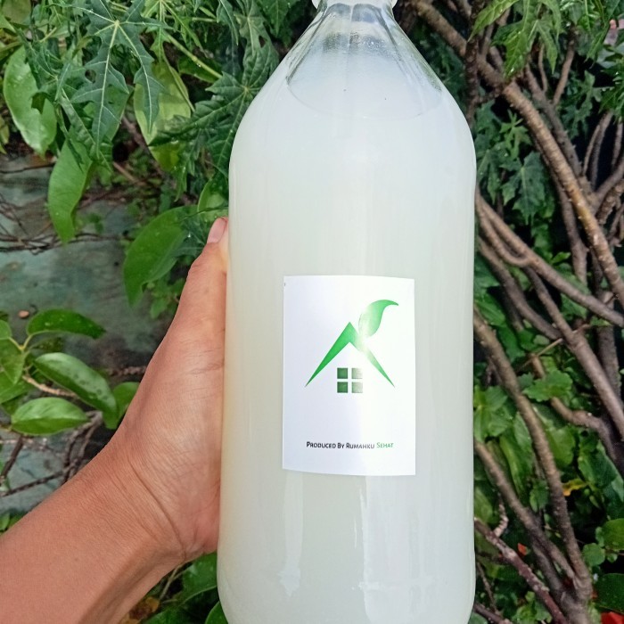 

Cuka Air Kelapa Raw Dgn Inangnya, 1 Liter Botol Kaca Khusus Sameday