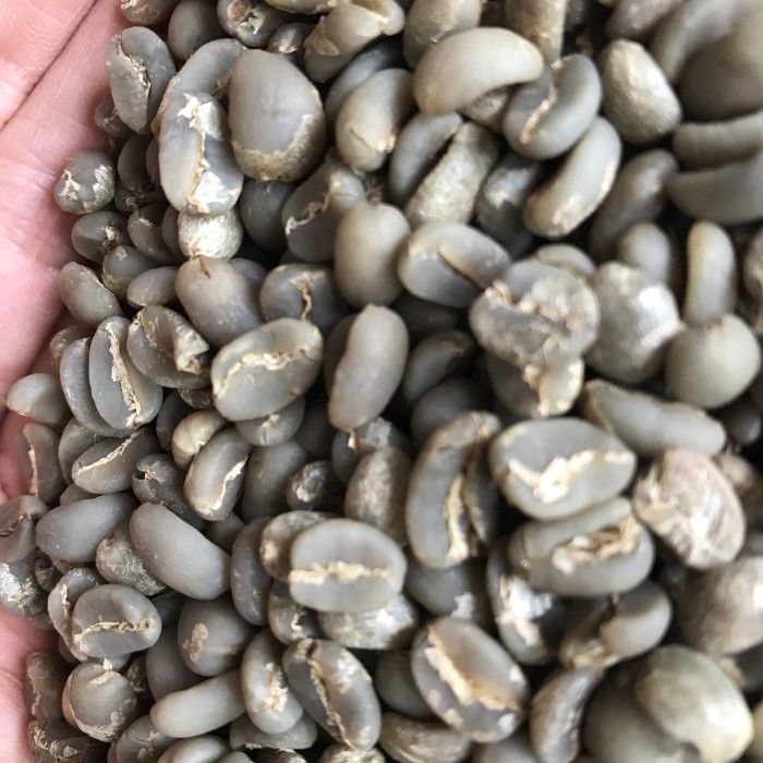 

Green Bean Arabika Mandailing G1