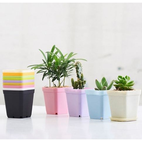 

NW752 Mini Square Pot - Pot Mini Bentuk Kotak OBRAL