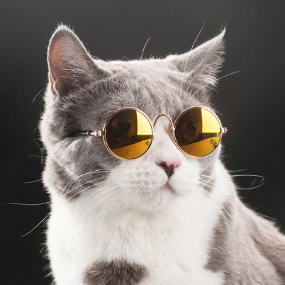 

EH363 Fashion Cat Sunglass - Kacamata Hitam untuk Kucing OBRAL