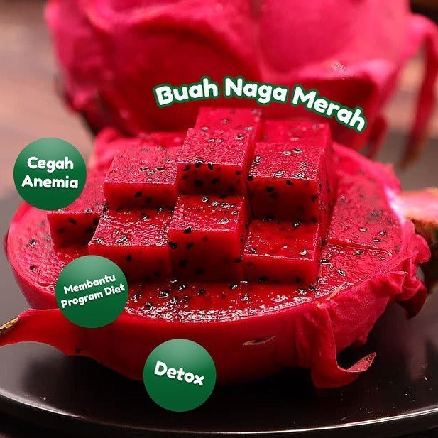 

TERBARU NAGA MERAH 1KG BISA GOSEND!