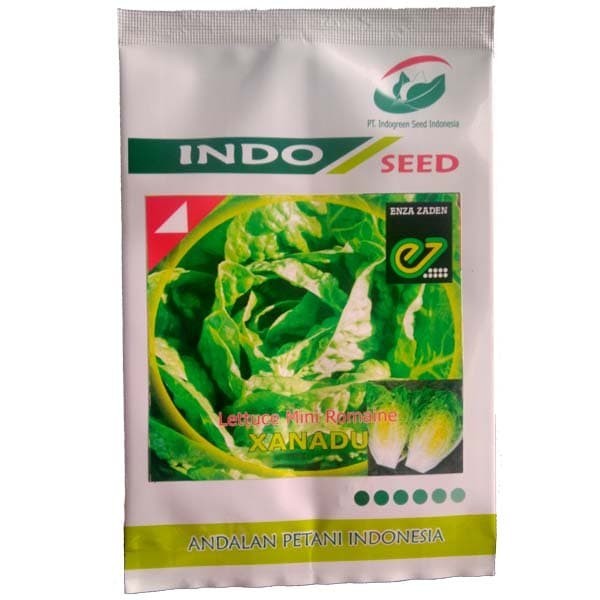 Enza Zaden - Xanadu Lettuce Mini Romaine -Benih Romaine Mini - 5 Gram