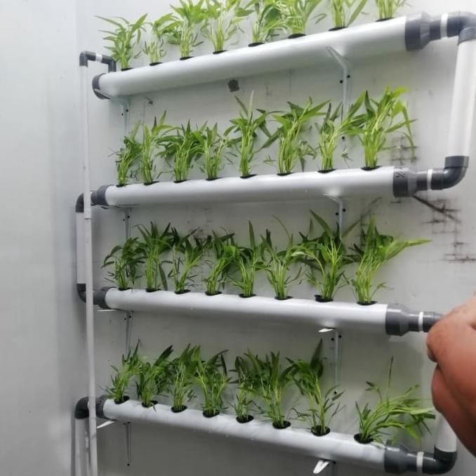 Hidroponik 32 Lubang Dinding Komplit + Pompa Air