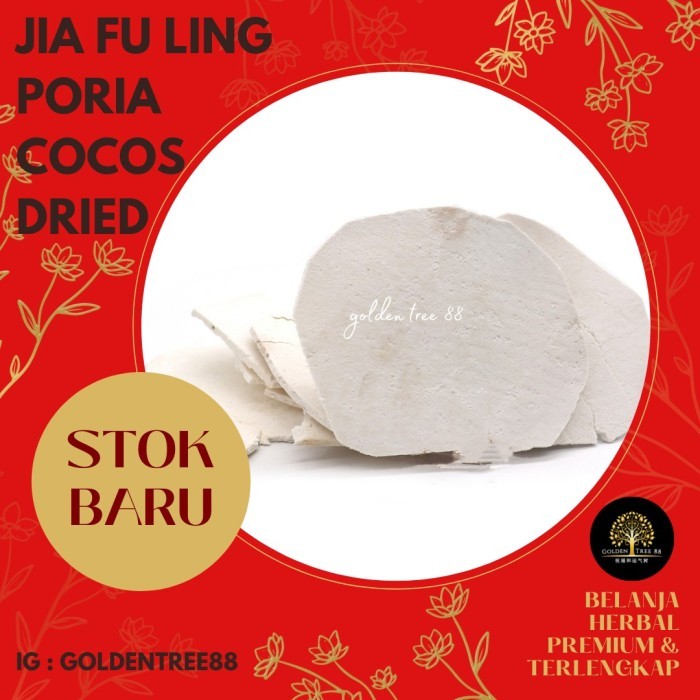 

Legend - 100 Gram Premium Jia Fu Ling / Poria Indian Bread Tuckahoe Original