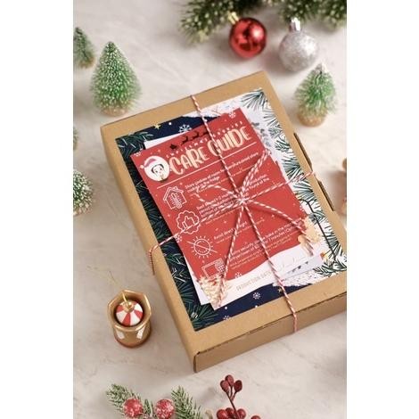 

CR - DIY Gingerbread House Christmas (Xmas / Kukis Natal Collection) - Sugar Cookies / Decorated Cookies / Kukis Hias Christmas Cookies Character TERLARIS