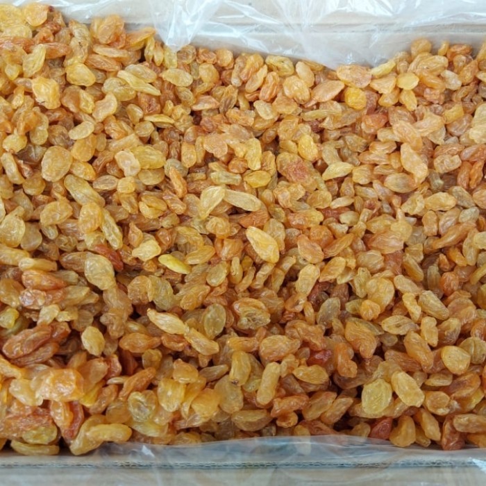 

Ready - Kismis Golden Raisin Kismis Asam Manis 1Kg 1 Kg 1000Gr 1000 Gr