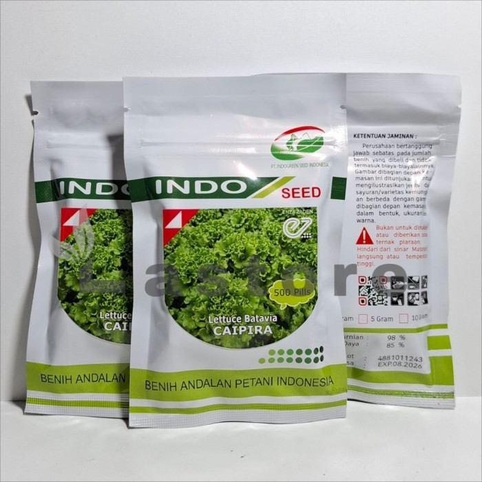 TERBARU benih bibit selada caipira lettuce batavia 1 gram kemasan original BISA GOSEND