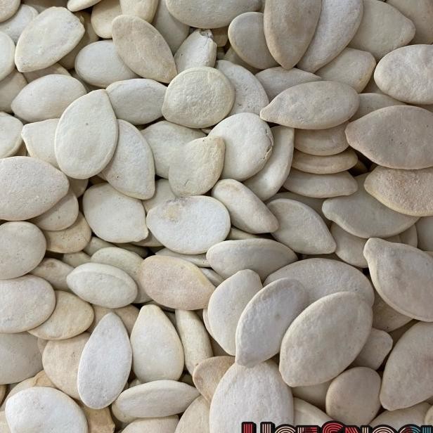 

Kuaci Putih Aci Putih Labu Pumpkin Seeds 1/2 Kg 500 Gram